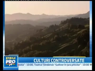 NU legalizarii marijuanei in California!