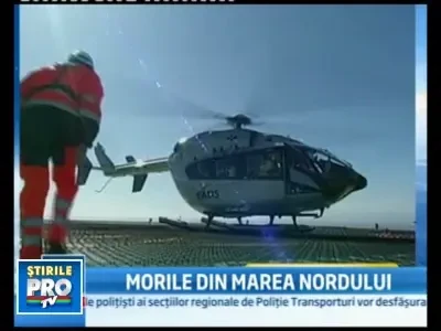 Ferma eoliana, solutia pentru energie mai ieftina si nepoluanta!