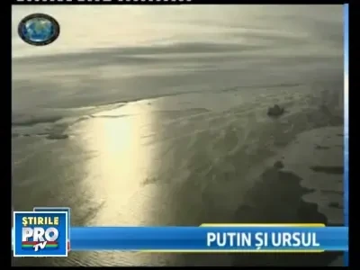 Vladimir Putin, ambasadorul ursilor polari!