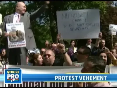 "Opriti hingheriada"! Iubitorii de animale au protestat in fata Prefecturii