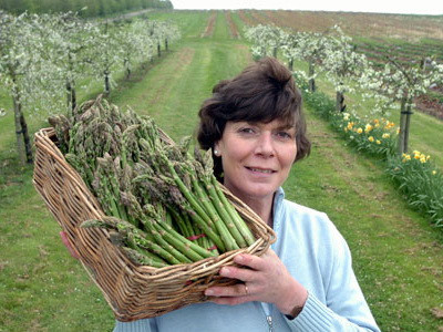 Britanicii refuza munca de jos. Apeleaza la romani sa le culeaga sparanghel