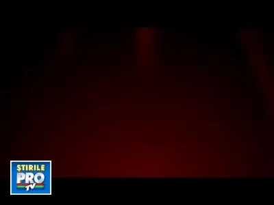 germanmanmarrieshisdyingcat