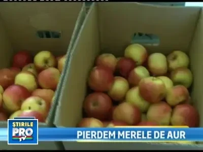 Bani europeni pe apa Sambetei! Merele, scumpe la vedere in scoli!