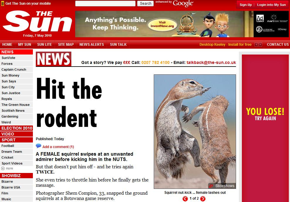 Nu-i de gluma cu veveritele! Si-a lovit admiratorul in testicule!