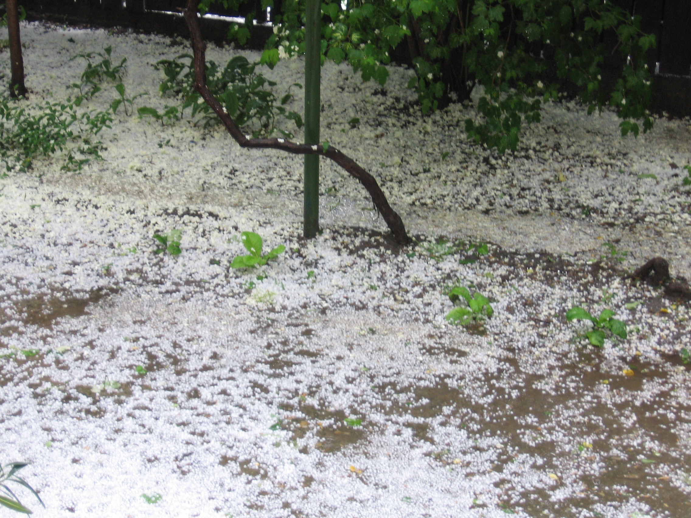 Statul american Colorado, acoperit de un strat de grindina de 15 centimetri