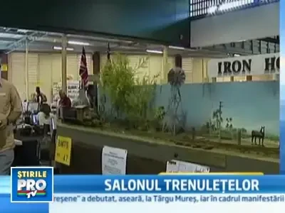 Expozitie de trenuri miniaturale in Australia!