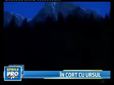 Ghici cine vine la cina, pe munte? Trei ursi