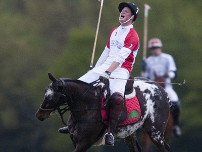 Combustibil eco din balegar...regal, in Marea Britanie