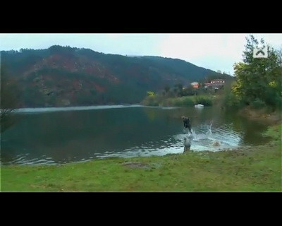 INCREDIBIL! Uite-i cum merg pe apa: farsa sau sport extrem?