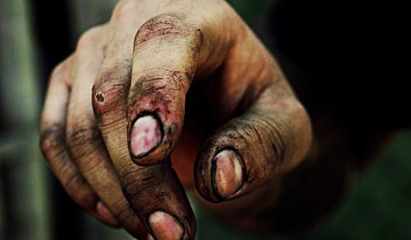 Stergator de funduri regale, colector de excremente si alte meserii ciudate