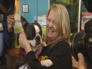 Si-au regasit cainele pierdut la 300 de kilometri distanta de casa!