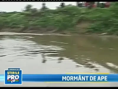 Trupul baietelului de 11 ani disparut in apele unui rau din Olt, gasit