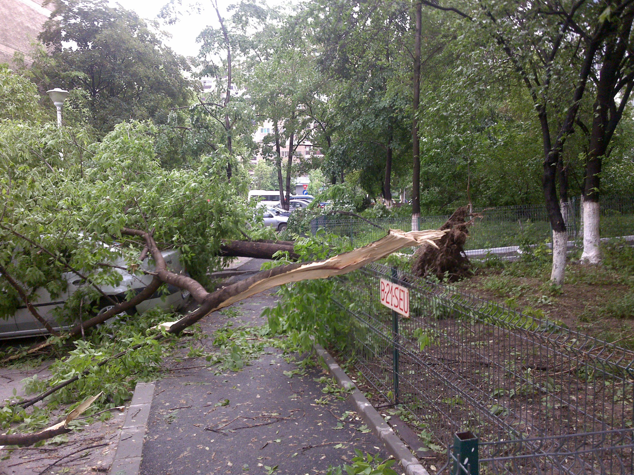 Cam racoare pentru luna mai! Furtuni si vant in toata tara!