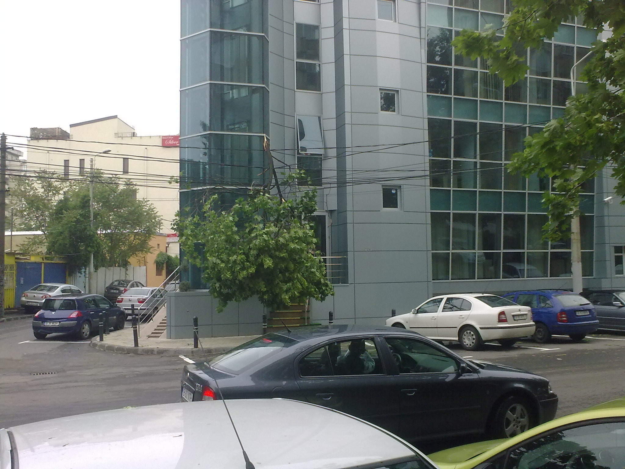 Bucurestiul, dupa potop! Copaci cazuti si stalpi daramati