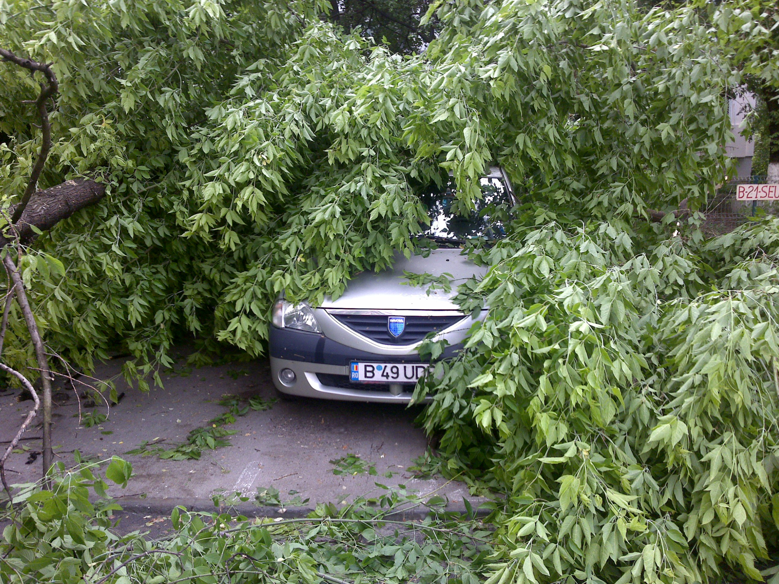 Furtuna in Banat si ploaie cu grindina la Brasov, dupa un weekend torid