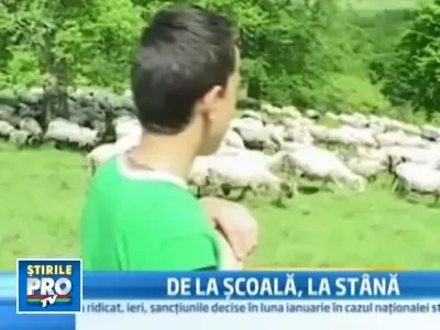 La Marginimea Sibiului copiii termina scoala mai devreme, sa plece cu oile
