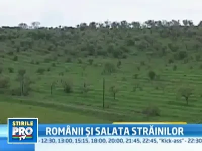 Otetul bio si condimentele din Romania ajung pe mesele austriecilor