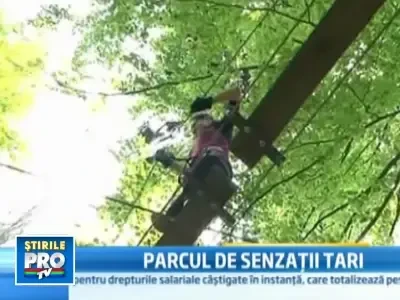 V-ar tenta o plimbare... la 20 de metri inaltime, prin copaci?