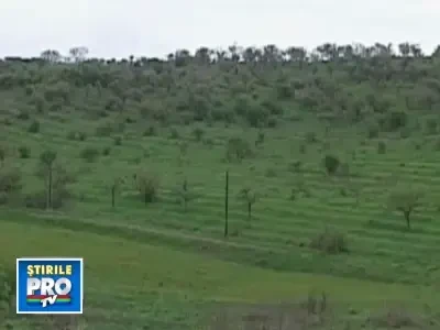 1505_19_condimentesiotet