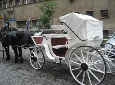 Risipa pe bani publici: doua calesti si o corabie! S-a intamplat in Galati