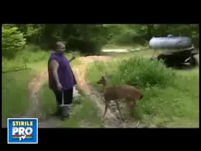 CAPRIOARA KUNG-FU! Uite cum face K.O un barbat!