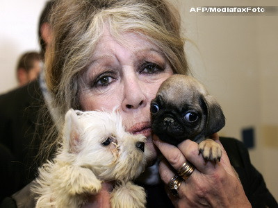 Brigitte Bardot denunta demersurile pentru eutanasiere, desi nu stie nimic despre situatia din tara