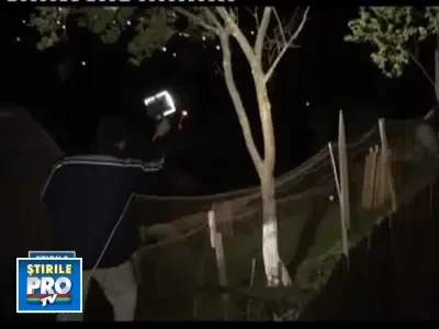 Ursii din Busteni fac nazuri la gunoaie! Acum poftesc la gainile oamenilor