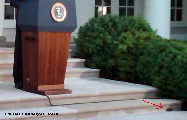 Soarece la Casa Alba