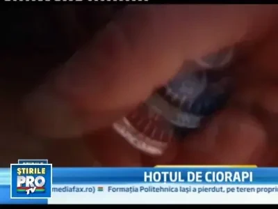 Hot cu patru labe. Un motanel a bagat teama intr-o localitate intreaga