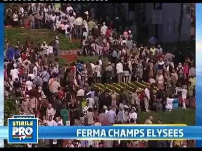 Champs Elysees invadat de vaci si porci! Fermierii francezi protesteaza