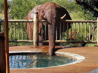 Iata cine golea jacuzzi-ul peste noapte!