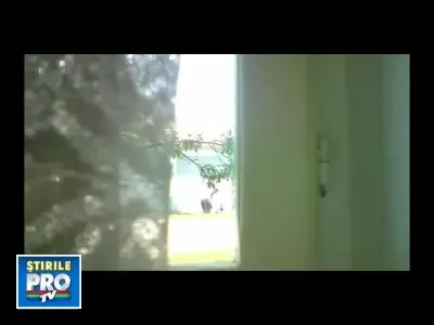 Un om tratat ca un animal! VIDEO socant