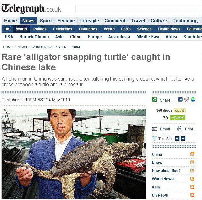 Testoasa aligator, monstrul pescuit din lac!