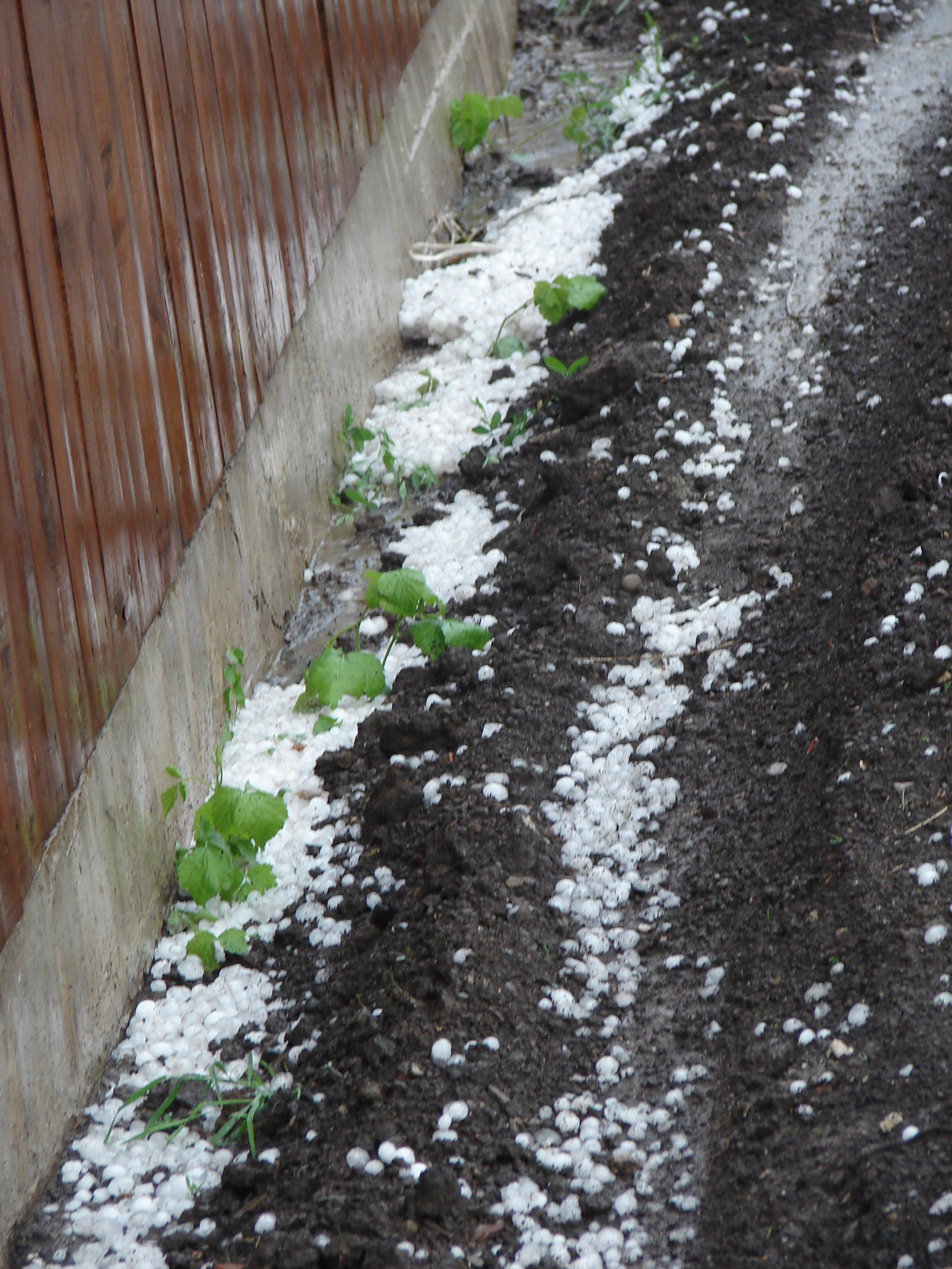 Grindina si furtuni in mai multe orase din tara!