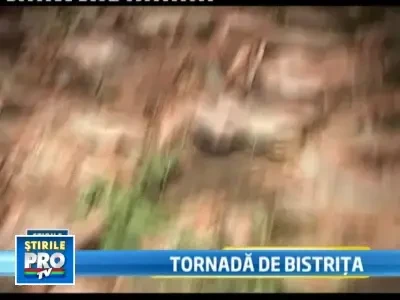 Tornada in Bistrita. Acoperisuri puse la pamant si pomi smulsi din radacina