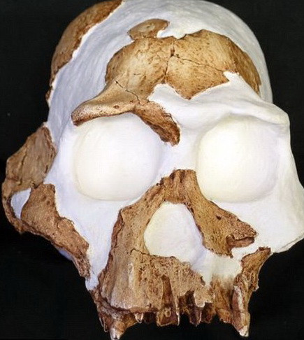 Descoperire senzationala! Primul om de pe Planeta a fost canibal