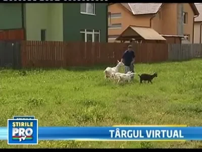 Obisnuitul iarmaroc romanesc s-a mutat pe www