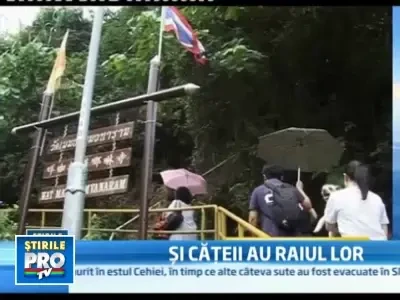 In Hong Kong cainii sunt dusi la templu pentru... a se ruga