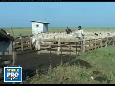 Avem mii de produse traditionale atestate in tara, dar nu si de UE!