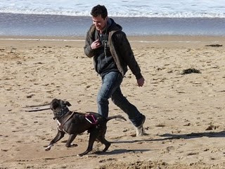 Otto, cainele dependent de adrenalina, face surf cot la cot cu stapanul