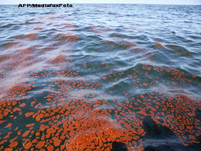 Dezastru ecologic in vestul Ungariei. Cel putin 2 morti si zeci de raniti