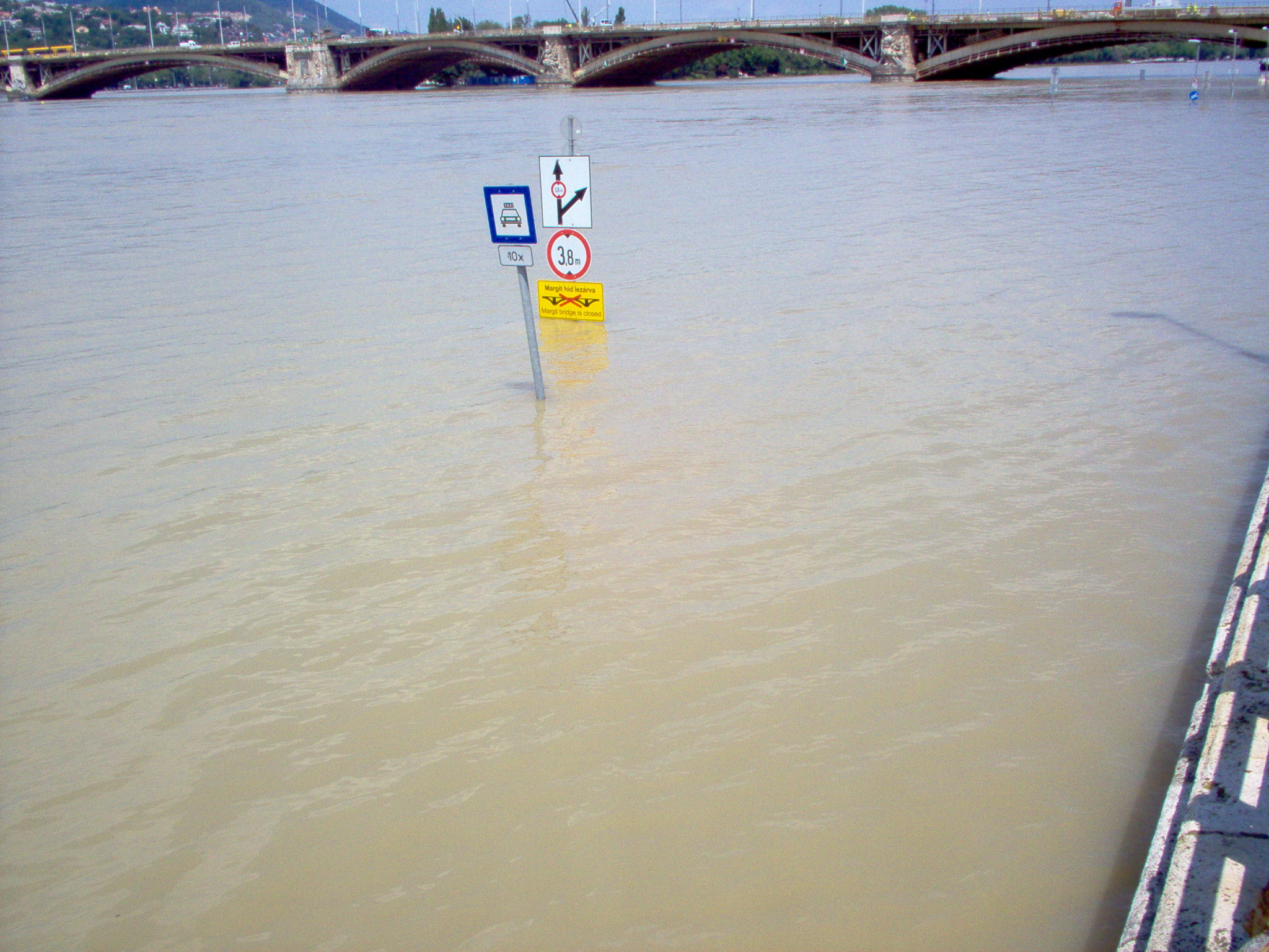 Dunarea a depasit cotele de atentie in Olt si a inundat peste 200 de hectare de pasune