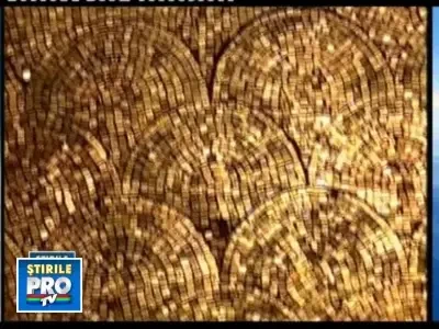 Arhitect: Palatul lui Gigi Becali, in pericol sa cada la un cutremur de 7