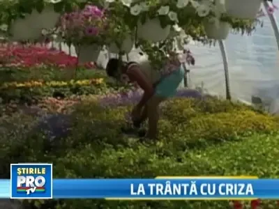 Someri in strainatate, patroni acasa! Povestea romanilor intorsi in tara