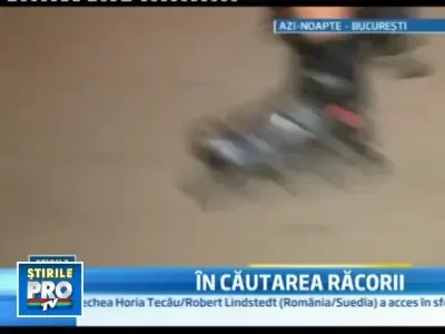 Alungati de arsita de la orase, mii de romani, in