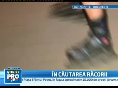 Ca sa scape de caldura, romanii au luat cu asalt parcurile si terasele