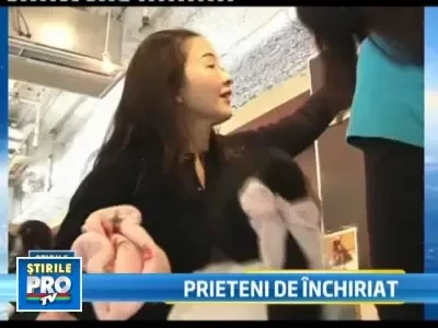 Visati la un catel? Inchiriati mai intai unul si vedeti daca va place