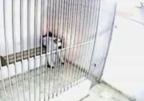 Un detinut isi da foc in celula, desi are catuse la maini! IMAGINI SOCANTE