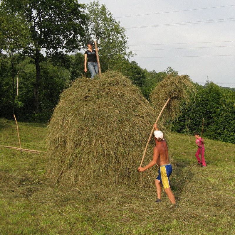 Te-ai plictisit de vacante in orase aglomerate? Hai la tara!