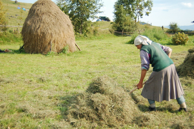 Ecovoluntariat turistic5